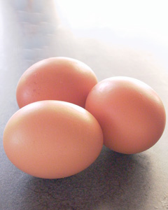 卵が3個