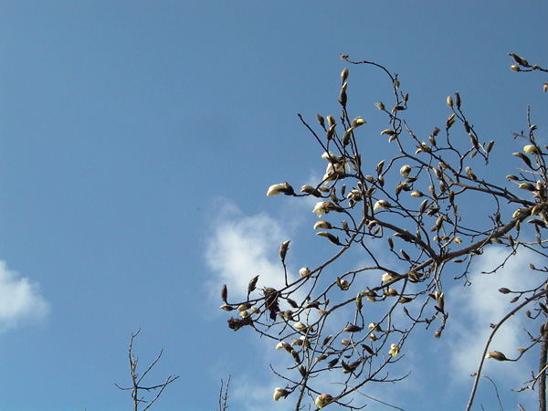 ���Ԃ��J��